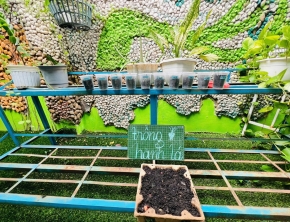 hoat-dong-trong-cay-xanh